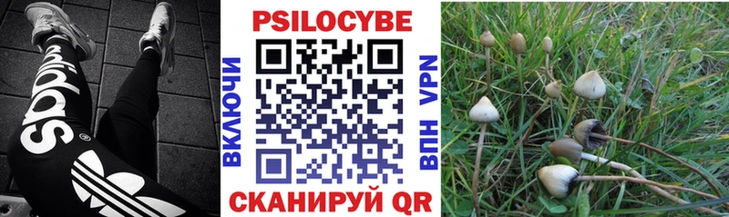 Галлюциногенные грибы Cubensis  мега ONION  Тамбов 