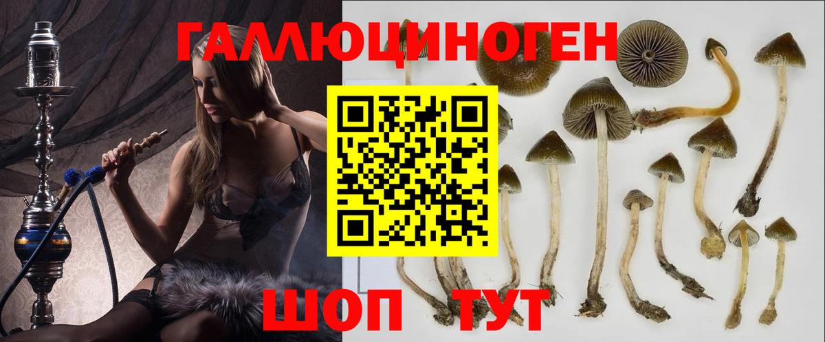 Псилоцибиновые грибы мицелий  Вход с VPN  Тамбов 